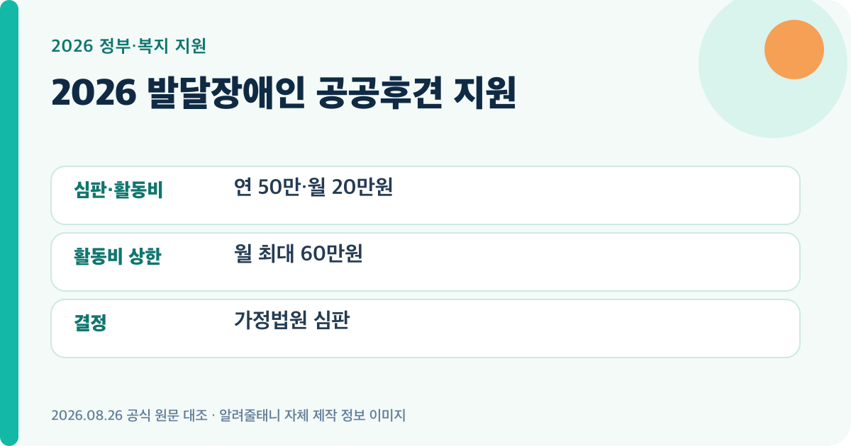 2026 발달장애인 공공후견 지원의 핵심 지원 기준을 요약한 대표 이미지